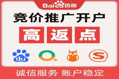 百度推广实战：成功企业的营销策略